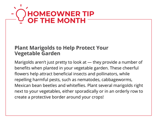 July Homeowner Tip of the Month