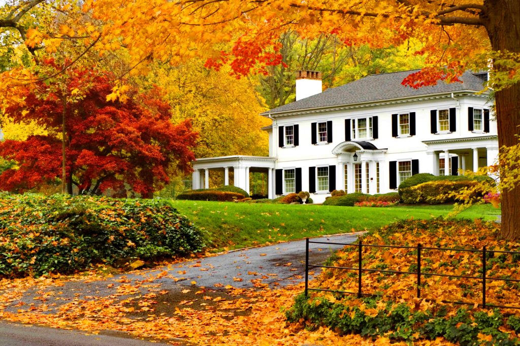 Fall Curbside Appeal Real Estate